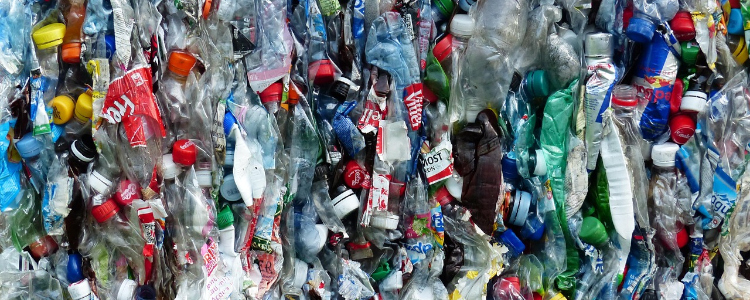 PET Recycling